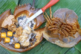 Cảnh báo nguy cơ ngộ độc khi ăn các món chế biến từ con so biển