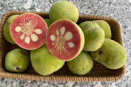 Loại quả xưa rụng đầy gốc ít ai đoái hoài, nay được nhiều người săn lùng