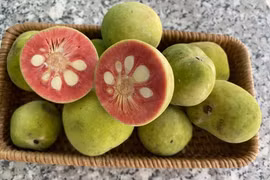 Loại quả xưa rụng đầy gốc ít ai đoái hoài, nay được nhiều người săn lùng