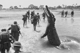 "Lạnh sống lưng" 5 hòn đảo bí ẩn, đáng sợ nhất hành tinh