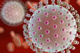 Hà Nội ghi nhận ca viêm não Nhật Bản đầu tiên trong năm