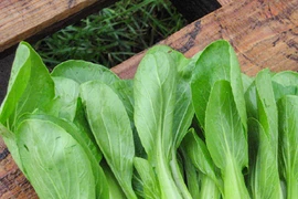 8 loại rau củ giàu sắt tự nhiên hơn cả thịt đỏ