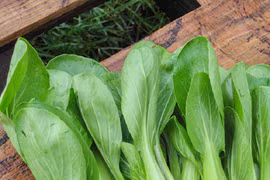 8 loại rau củ giàu sắt tự nhiên hơn cả thịt đỏ