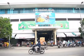 Xả thải vượt quy chuẩn, BQL chợ Quảng Ngãi bị phạt 255 triệu đồng