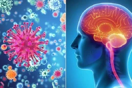 Bệnh viêm màng não mô cầu có lây không?