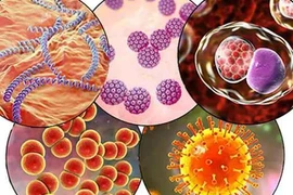 7 loại bệnh lây truyền qua đường tình dục phổ biến thường gặp