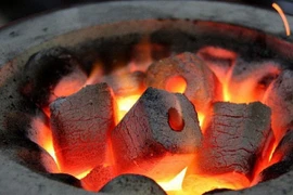 Đốt than củi sưởi ấm trong phòng, 2 người ở Thanh Hóa suýt mất mạng