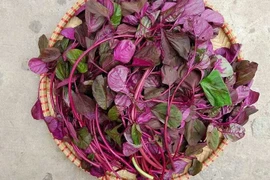 7 loại rau giàu sắt, giúp ngăn ngừa thiếu máu