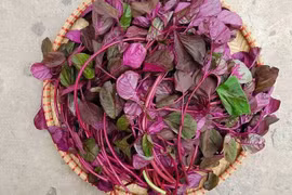 7 loại rau giàu sắt, giúp ngăn ngừa thiếu máu