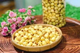 Loại hạt được ví như "thuốc trường thọ" tốt cho tim, giảm căng thẳng