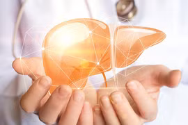 Thói quen đơn giản giúp lá gan khỏe mạnh