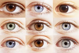 Điều gì quyết định đến màu mắt của một con người?