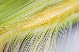 "Tinh hoa" của bắp ngô người Việt thường tiện tay ném bỏ