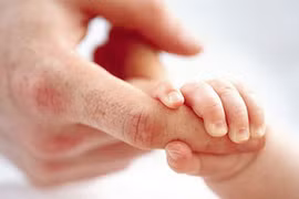 Sự hồi sinh kỳ diệu