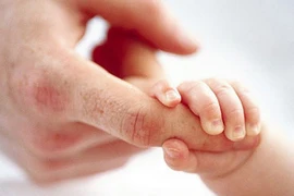 Sự hồi sinh kỳ diệu