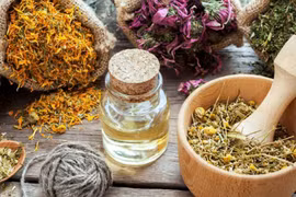 Top 10 loại thảo mộc tốt cho làn da