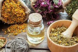 Top 10 loại thảo mộc tốt cho làn da