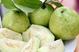 Ổi cực giàu vitamin C nhưng 5 nhóm người này nên hạn chế ăn