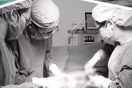 Thiếu máu nặng do u xơ tử cung, cách nào phòng tránh bệnh phụ khoa?