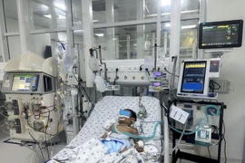 Bị ong vò vẽ đốt 70 vết, bé trai 7 tuổi tổn thương đa cơ quan