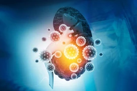 Dấu hiệu cảnh báo có thể bạn đã mắc bệnh thận, cần đi khám ngay