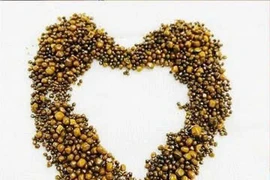 Sỏi lấp đầy túi mật người phụ nữ, sỏi mật biến chứng nguy hiểm sao?