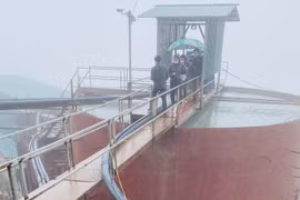 Bị xử phạt gần 1,2 tỷ đồng, Công ty CP Thịnh Đạt vi phạm thế nào?