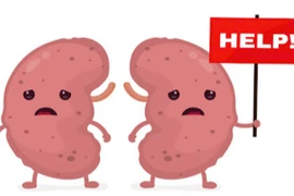 Thói quen tưởng tốt nhưng lại là "sát thủ" gây hại thận, nhiều người mắc