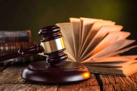 Công ty Trung Hưng vi phạm gì... bị xử phạt 9,6 tỷ đồng