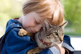 Chơi với chó mèo, bé trai 9 tuổi bị nhiễm nấm tổ ong da đầu