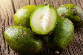 Loại quả có vị chua thanh, chứa nhiều chất xơ tốt cho người tiểu đường