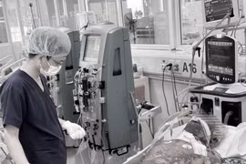 Người đàn ông nguy kịch sau khi mổ lợn