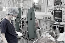 Người đàn ông nguy kịch sau khi mổ lợn