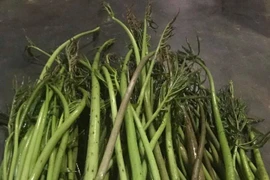 Loại rau mọc dại ở Đông Nam Bộ bất ngờ thành đặc sản "hút khách"