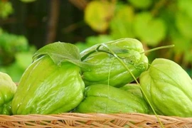 Loại quả giàu vitamin C giúp ngăn ngừa lão hóa, cải thiện chức năng gan