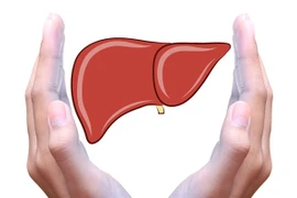 Loại thực phẩm làm sạch gan hiệu quả, nên bổ sung hàng ngày