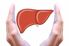 Loại thực phẩm làm sạch gan hiệu quả, nên bổ sung hàng ngày