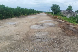 Thanh Hóa: Cận cảnh tuyến đê sông Cầu Chày bị nứt vỡ, xuống cấp