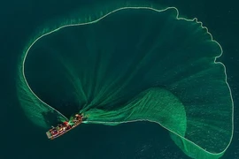 Video: Ngư dân tung lưới đánh cá đầy ấn tượng ở biển Bình Định