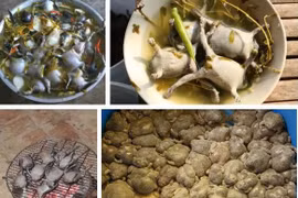 Món đặc sản 'kinh dị' được bày bán công khai ngoài đường