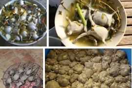 Món đặc sản 'kinh dị' được bày bán công khai ngoài đường