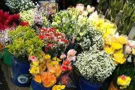 Video: Những mặt hàng kinh doanh hút khách sau Tết Nguyên đán