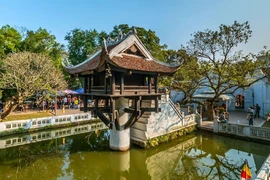 Video: Loạt hình ảnh cực hiếm về chùa Một Cột thế kỷ 19