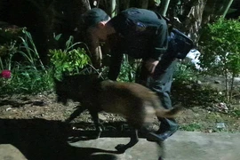 Nghệ An: Cháu bé 2 tuổi mất tích đầy bí ẩn