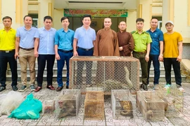 Hà Tĩnh: Tiếp nhận nhiều cá thể động vật quý hiếm