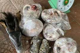 "Ông trùm" buôn bán động vật quý hiếm sa lưới