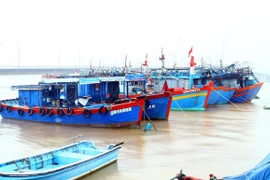 Quảng Bình: Trích hơn 16 tỷ đồng hỗ trợ ngư dân đánh bắt xa bờ
