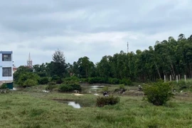 Quảng Bình: Phát hiện thi thể người đàn ông trên mương thuỷ lợi