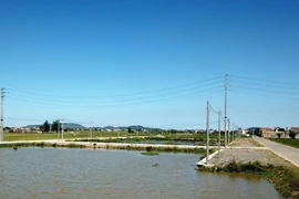 Vụ kế toán xã trúng 23 lô đất: Đề nghị thanh tra toàn diện