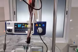 Quảng Bình: Bé sơ sinh tử vong sau khi bị bỏ rơi